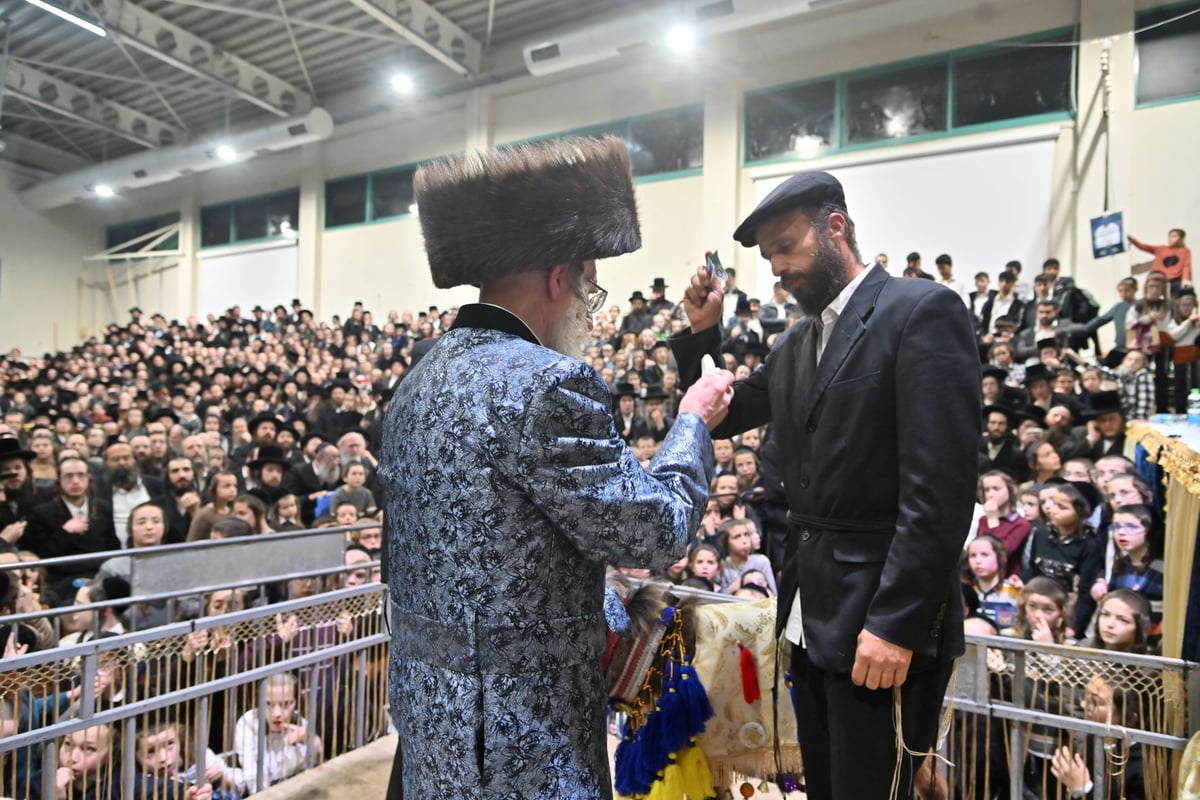 מעמד פטר חמור ברובע החרדי בראשות הרבי ממעליץ | צפו