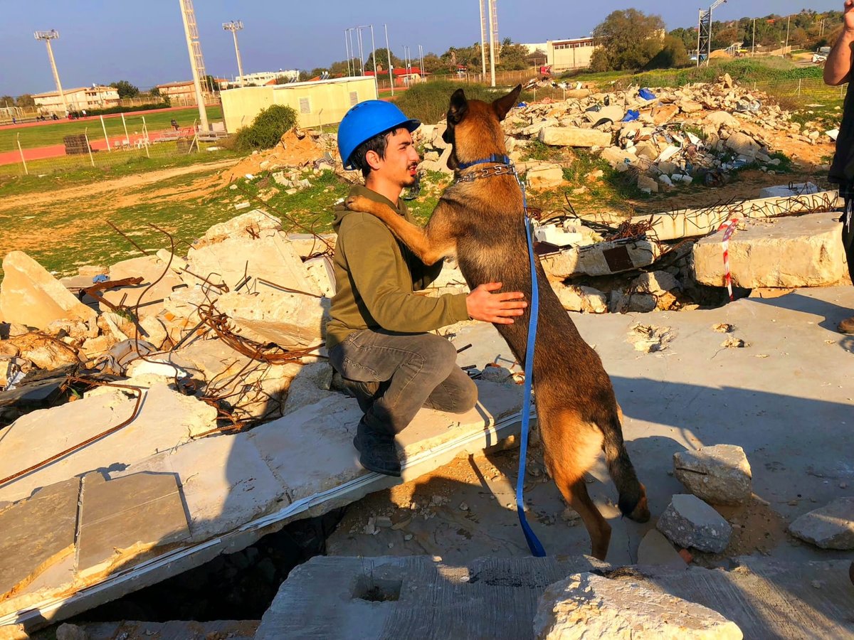 הכלבים הריחו את ה"נעדרים" מתחת להריסות