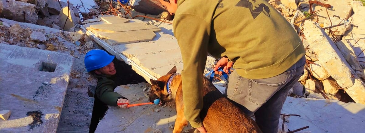 הכלבים הריחו את ה"נעדרים" מתחת להריסות