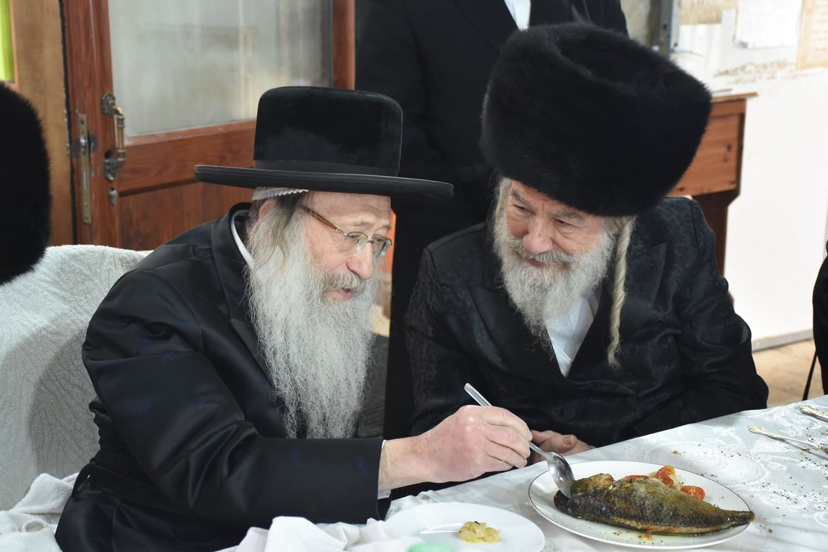 האדמו"ר מאשלג ערך ברית לנכדו בעיר צפת | תיעוד