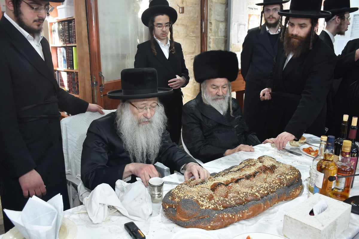 האדמו"ר מאשלג ערך ברית לנכדו בעיר צפת | תיעוד