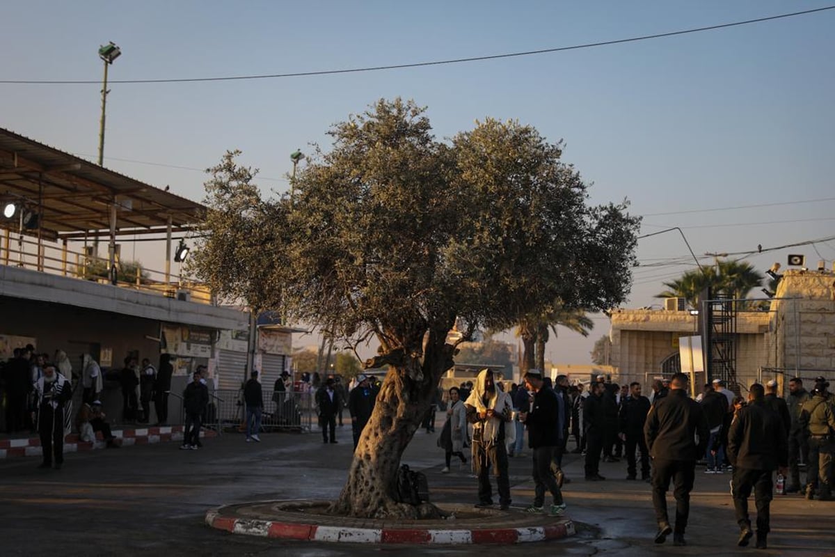 צלם 'כיכר' תיעד: ההמונים שפוקדים את ציון הבבא סאלי