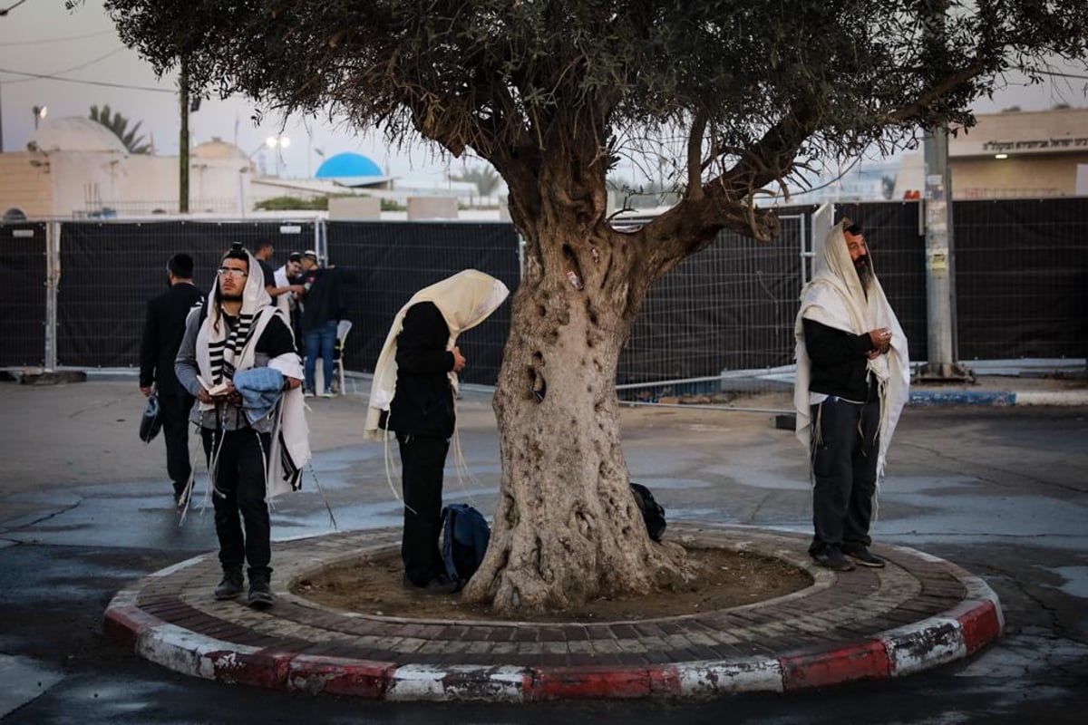 צלם 'כיכר' תיעד: ההמונים שפוקדים את ציון הבבא סאלי