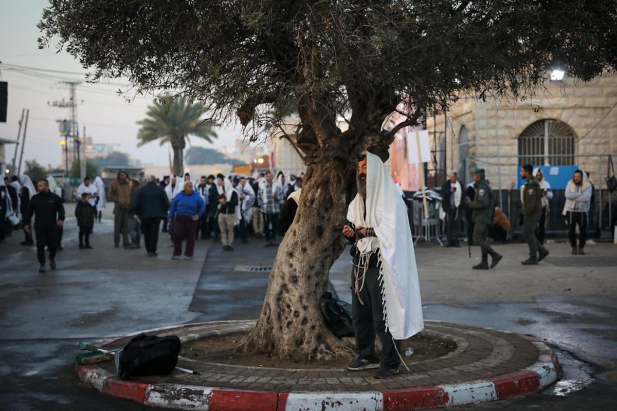 צלם 'כיכר' תיעד: ההמונים שפוקדים את ציון הבבא סאלי