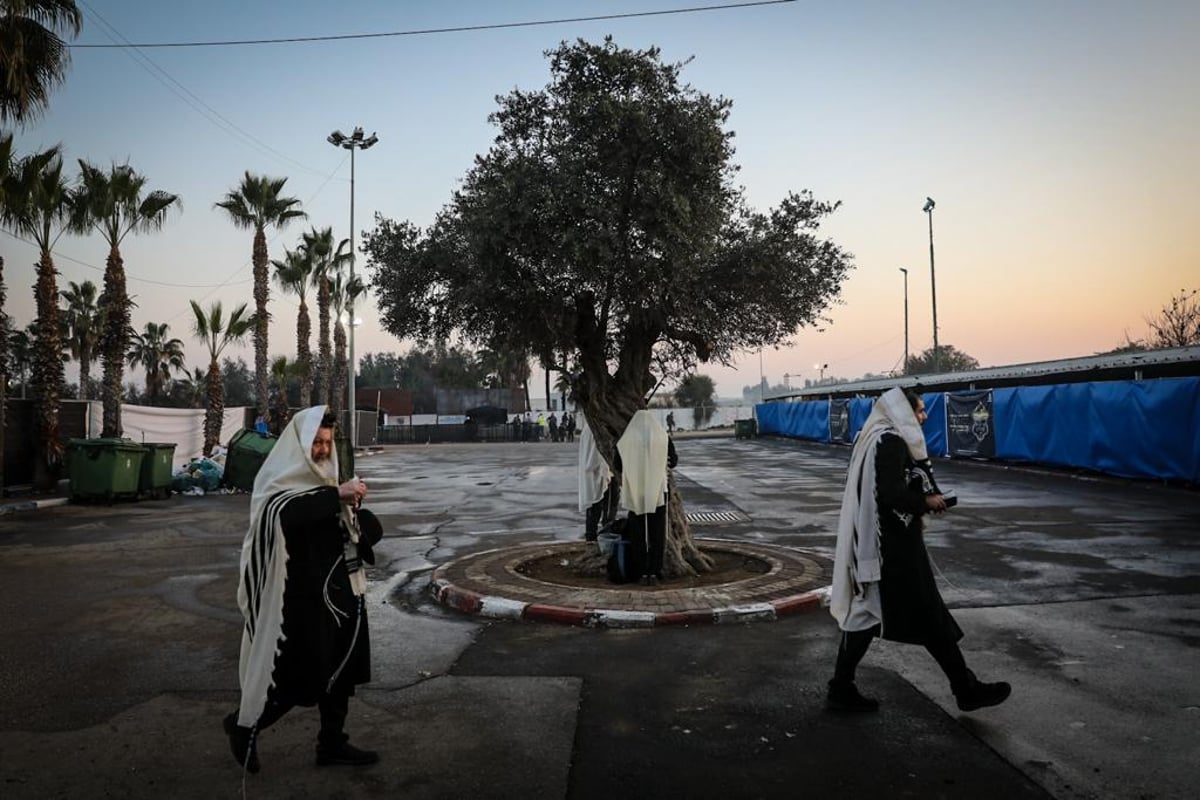 צלם 'כיכר' תיעד: ההמונים שפוקדים את ציון הבבא סאלי