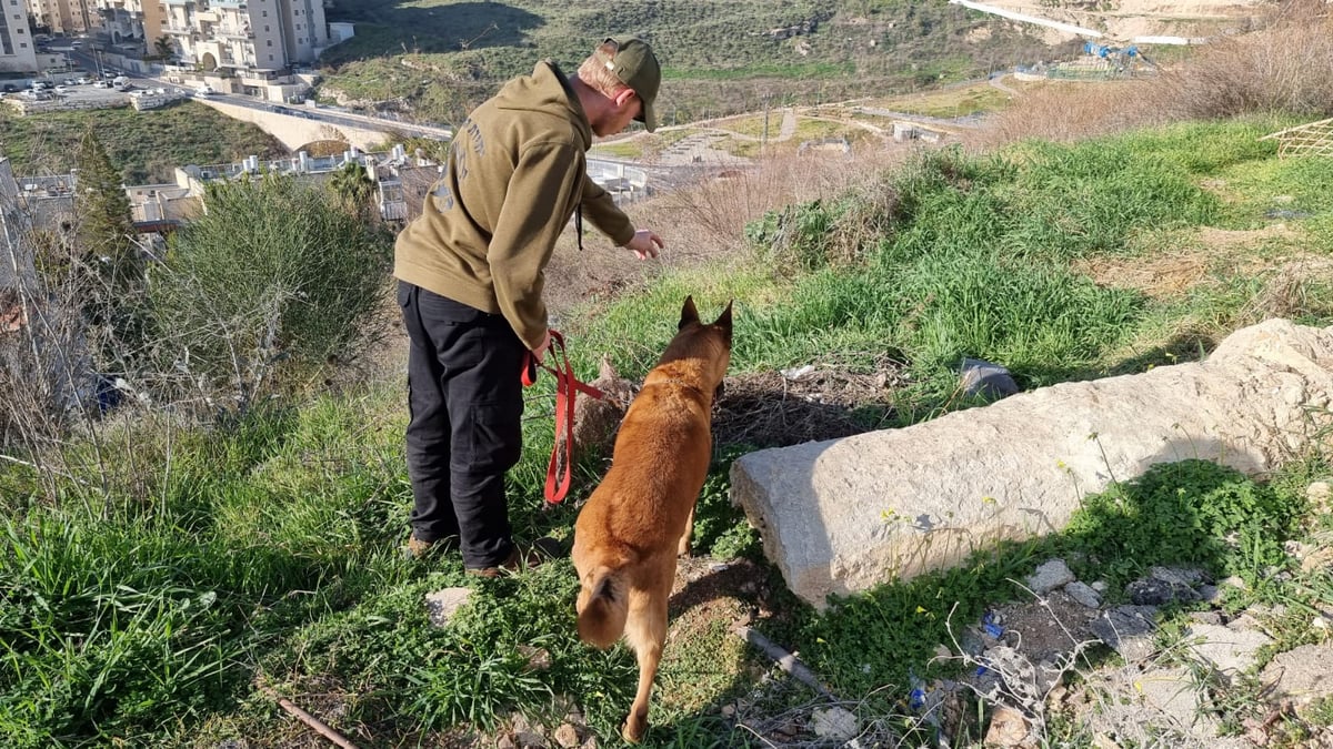 "אני כל כך מתרגשת": המבוגרת החרדית אותרה בשלום