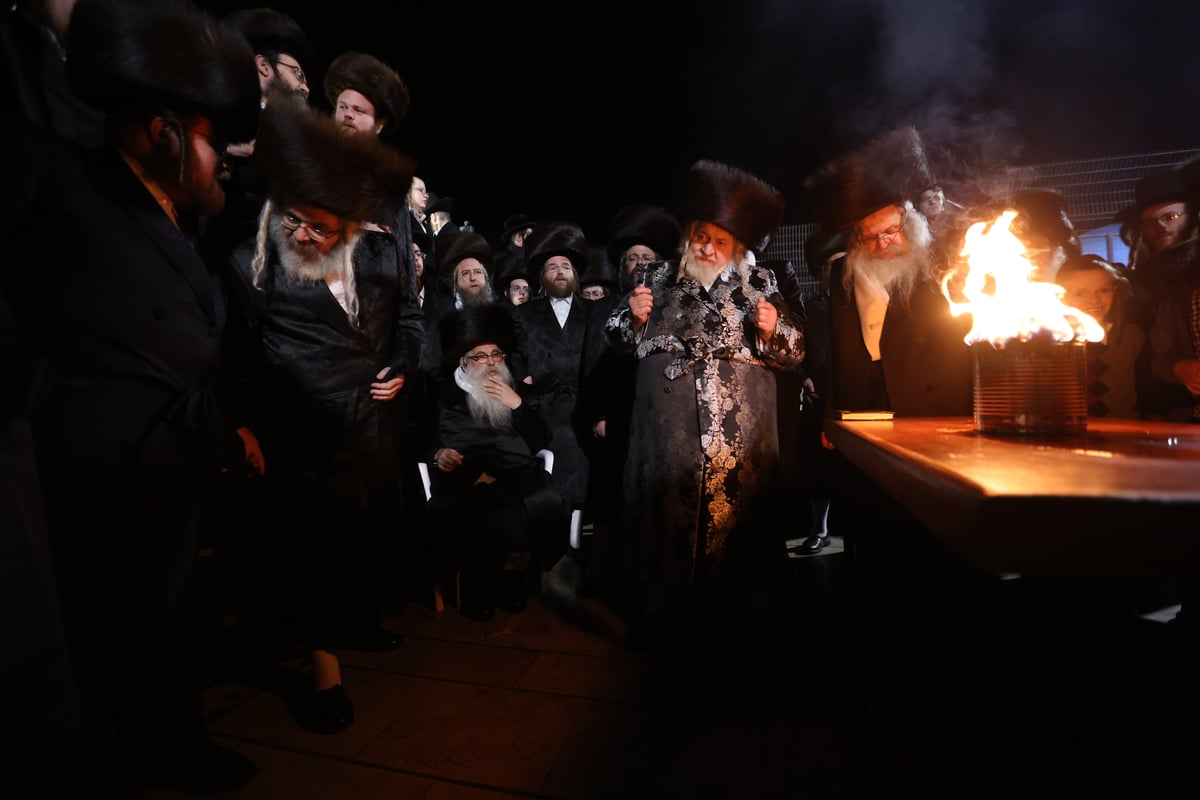 חסידי טעמעשוואר בשבת התאחדות במירון