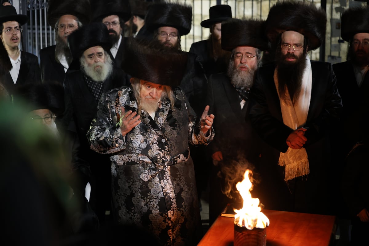 חסידי טעמעשוואר בשבת התאחדות במירון