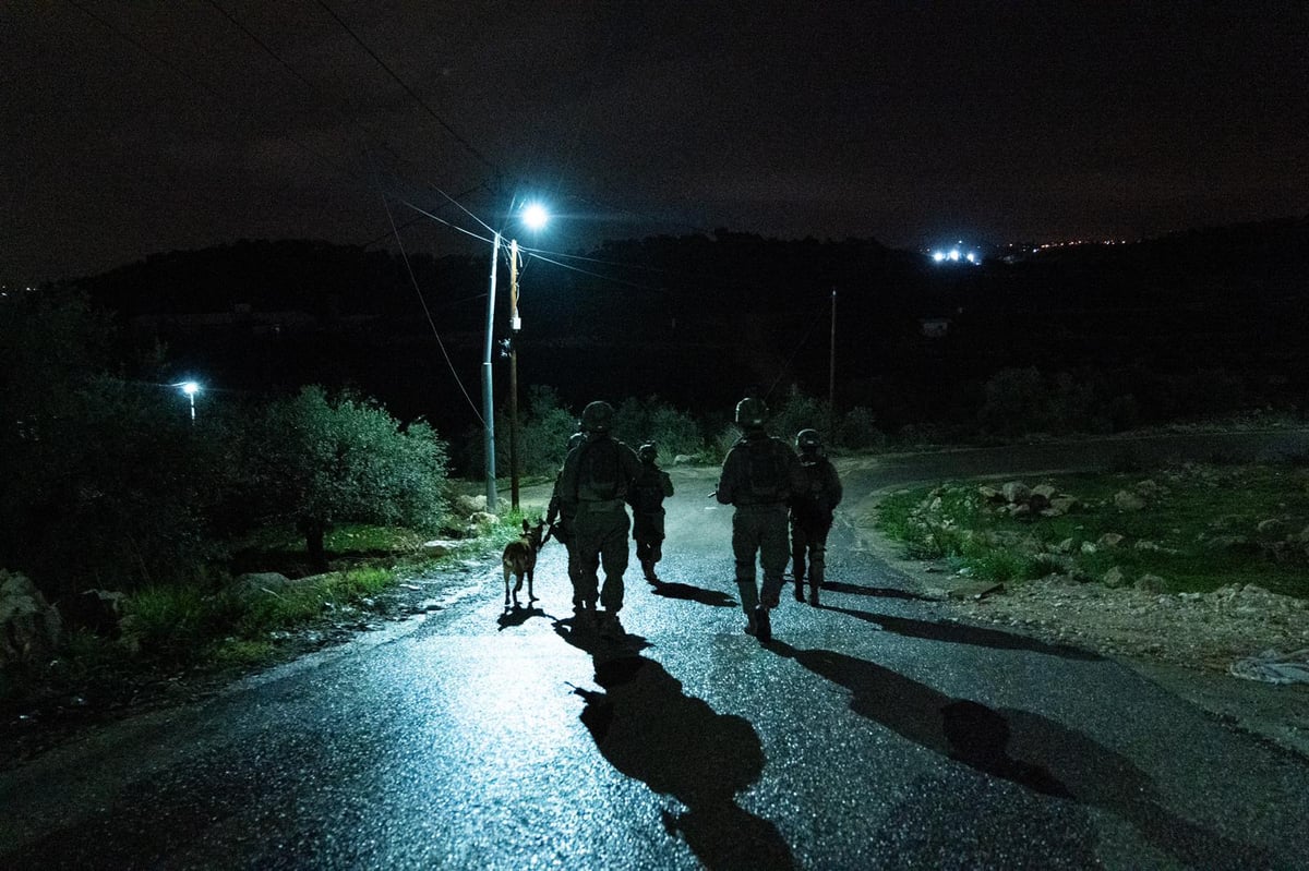 הלוחמים פשטו על שני כפרים ועצרו ארבעה מבוקשים • צפו