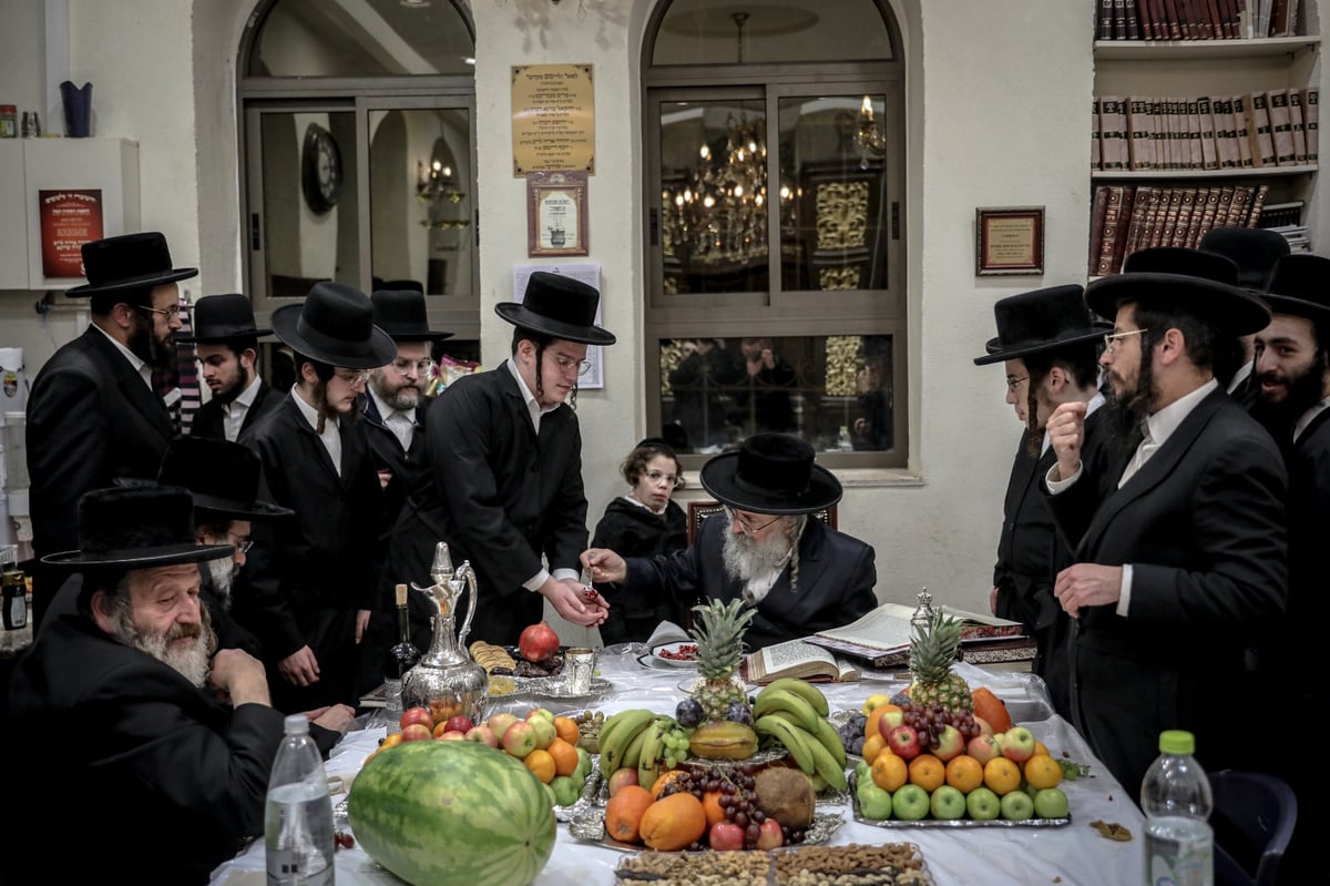 הרבי חילק גרעיני רימון; מראות ט"ו בשבט בלעלוב | צפו