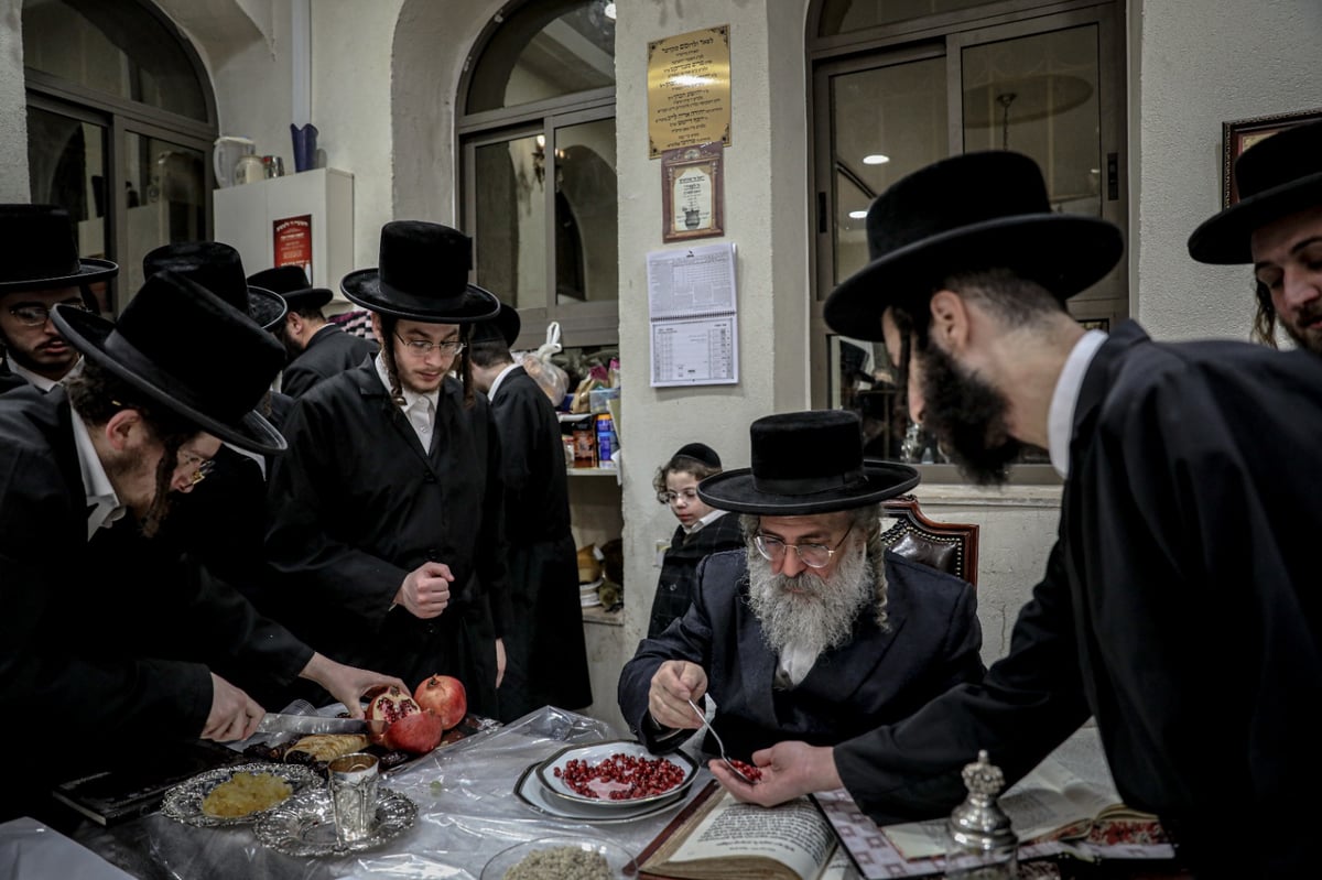 הרבי חילק גרעיני רימון; מראות ט"ו בשבט בלעלוב | צפו