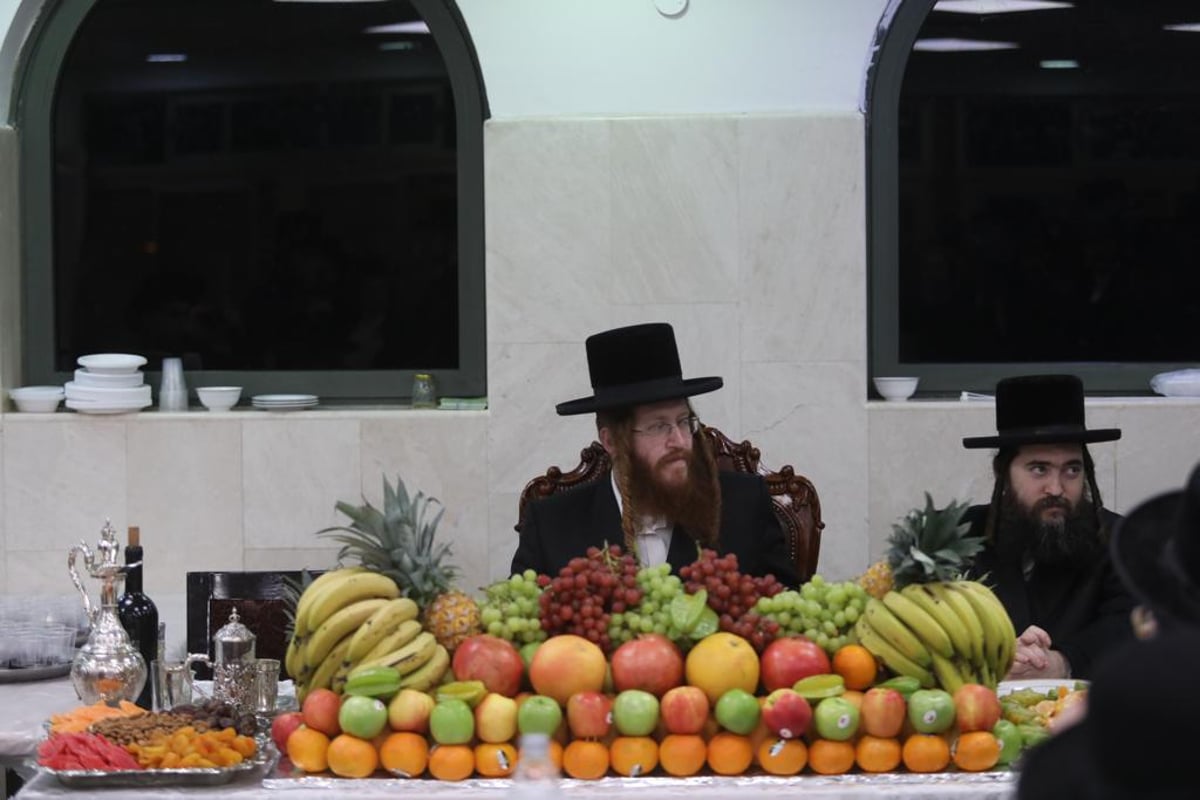 שולחן מלא פירות: מראות טיש ט"ו בשבט בקאליב | צפו