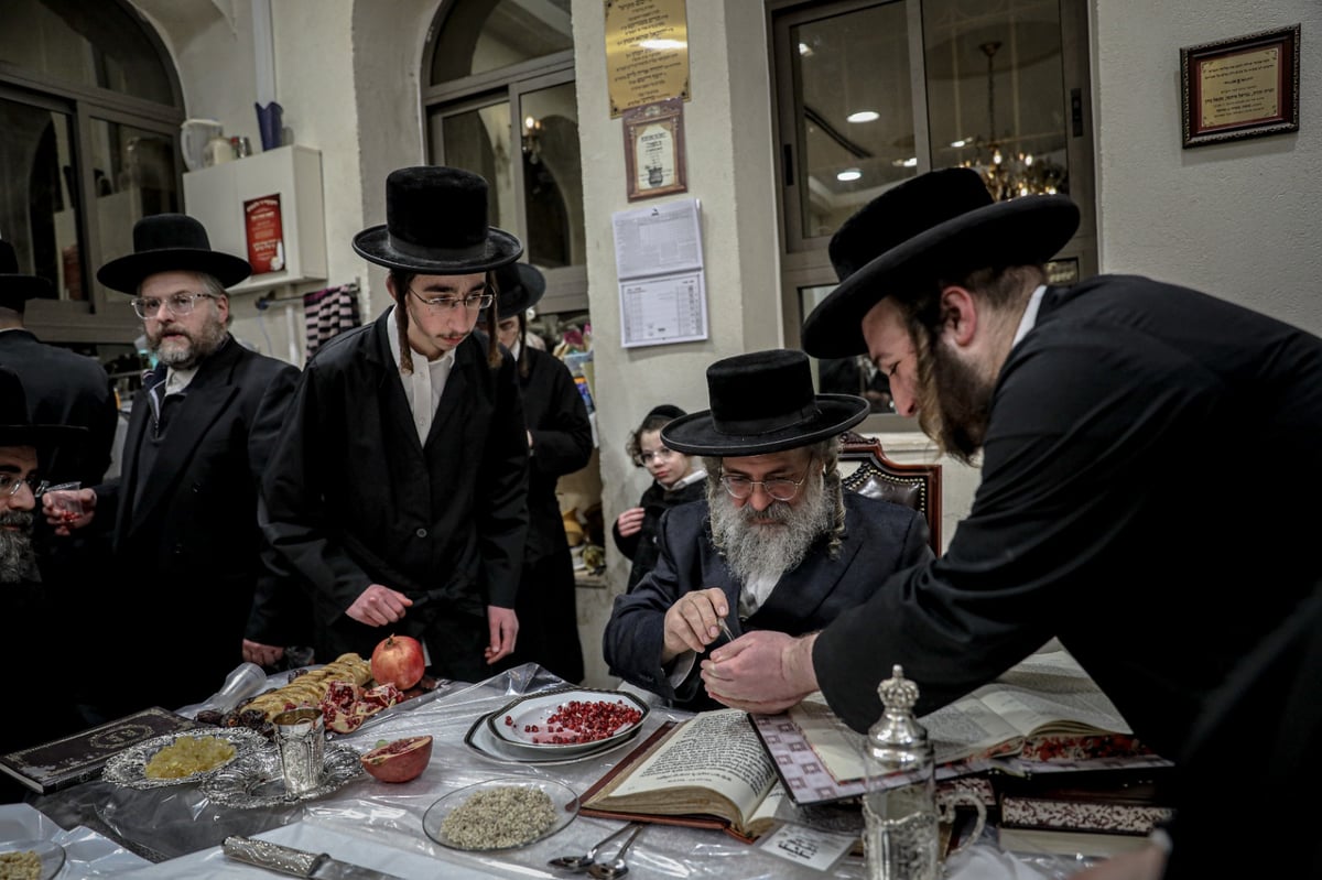 הרבי חילק גרעיני רימון; מראות ט"ו בשבט בלעלוב | צפו