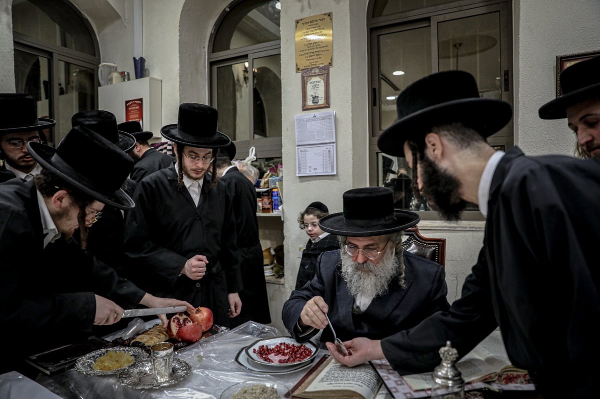 הרבי חילק גרעיני רימון; מראות ט"ו בשבט בלעלוב | צפו