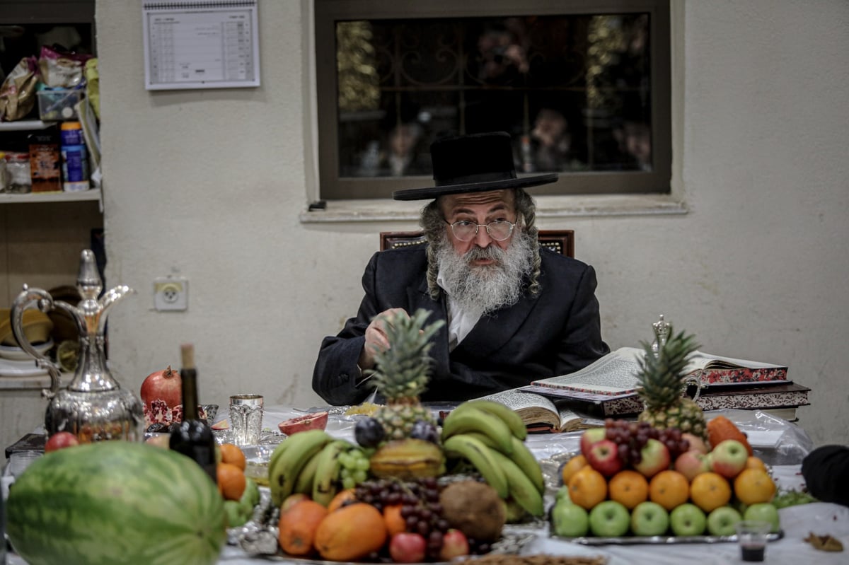 הרבי חילק גרעיני רימון; מראות ט"ו בשבט בלעלוב | צפו