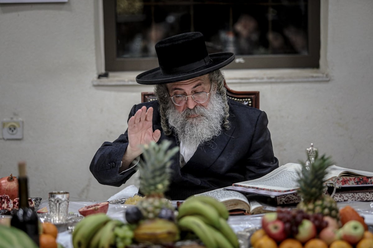 הרבי חילק גרעיני רימון; מראות ט"ו בשבט בלעלוב | צפו