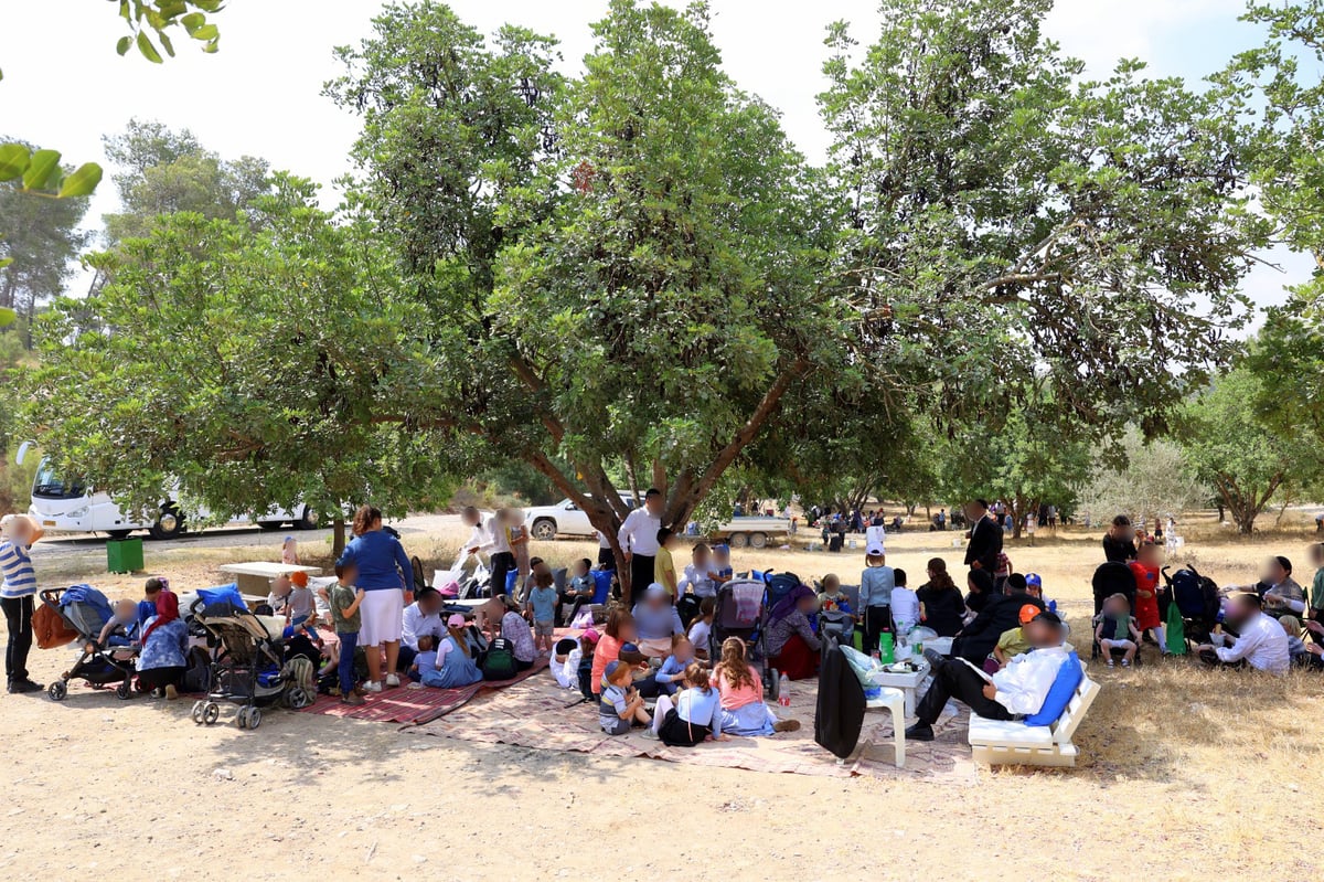 בקק"ל חוגגים ט"ו בשבט ומסכמים שנת שמיטה