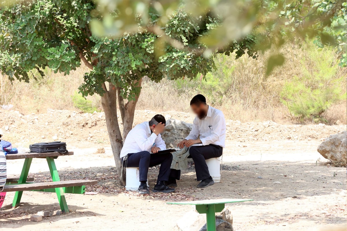 בקק"ל חוגגים ט"ו בשבט ומסכמים שנת שמיטה