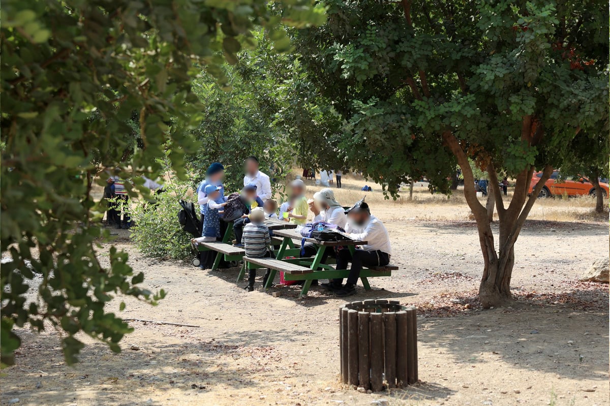 בקק"ל חוגגים ט"ו בשבט ומסכמים שנת שמיטה