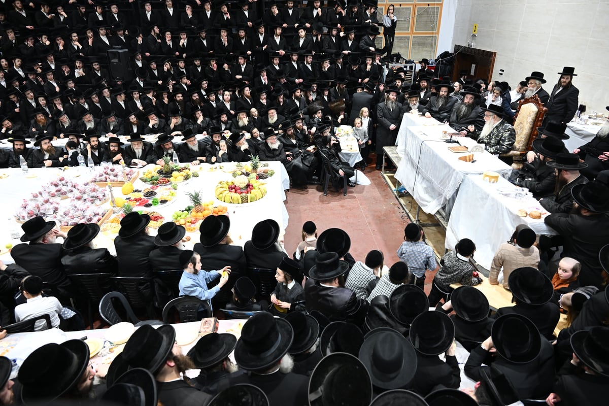 אלפי החסידים ב'טיש ט"ו בשבט' בחסידות צאנז בנתניה