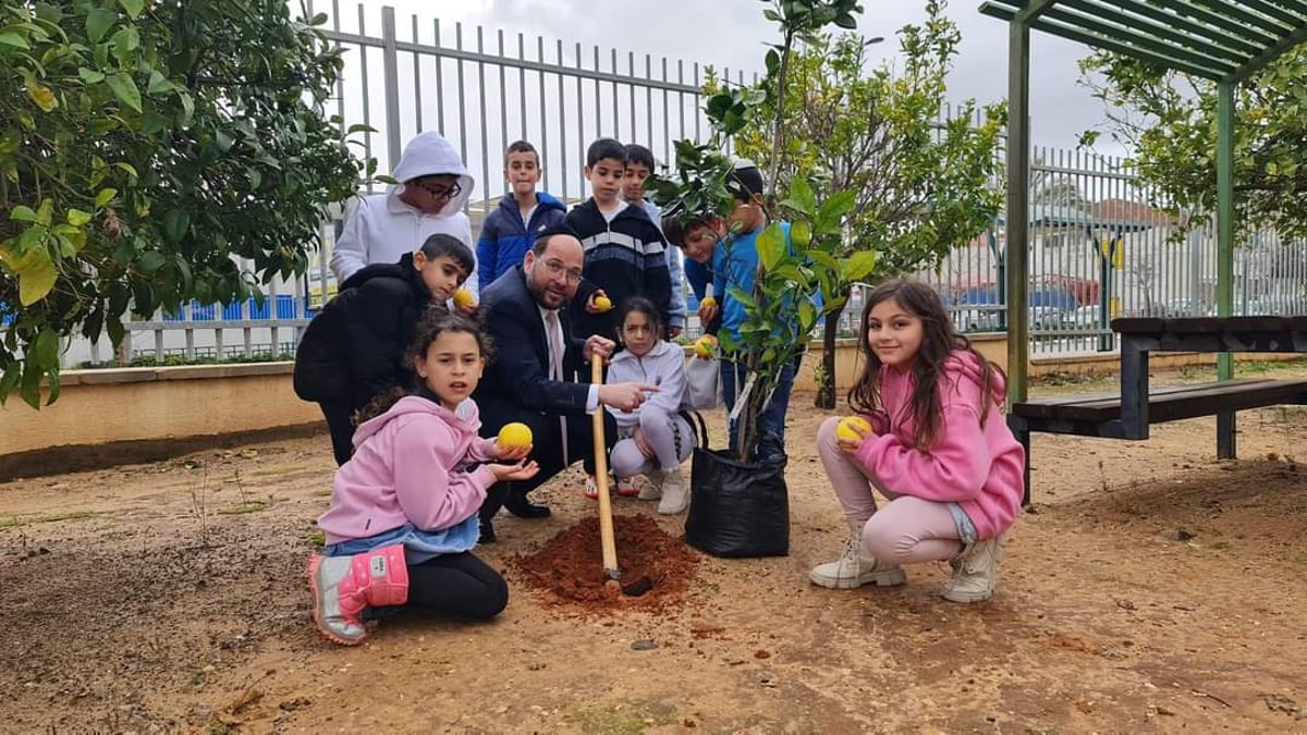 השבוע: בנטיעות לכבוד טו' בשבט