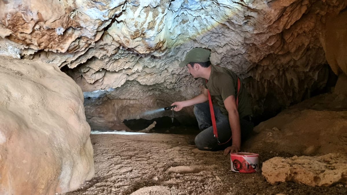 כלבי הרחה ורחפנים: נמשכים החיפושים אחר מוישי קליינרמן ו'נעדרי מירון'