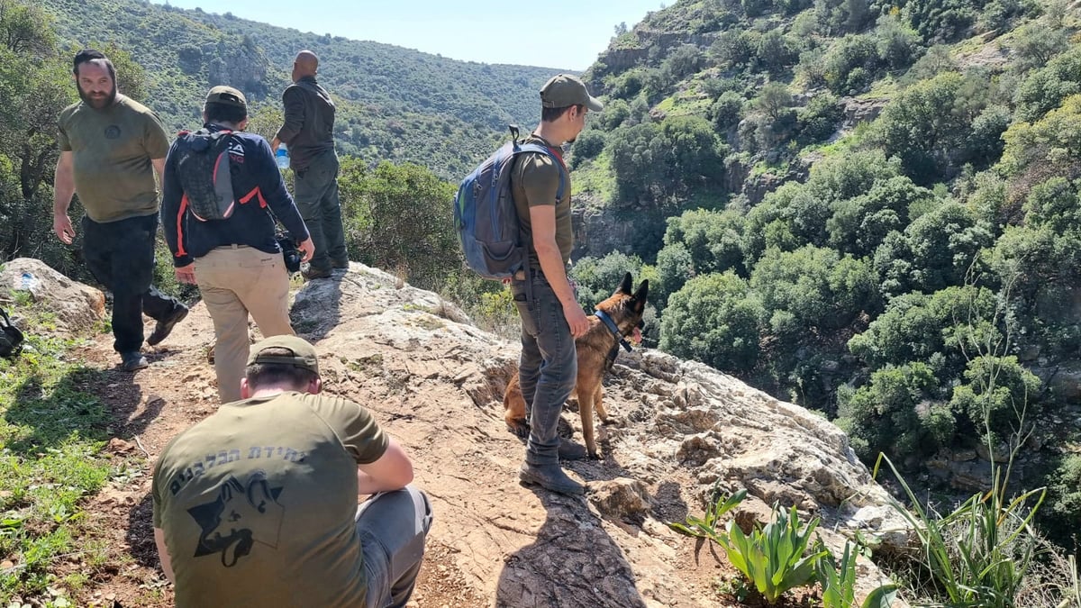 כלבי הרחה ורחפנים: נמשכים החיפושים אחר מוישי קליינרמן ו'נעדרי מירון'