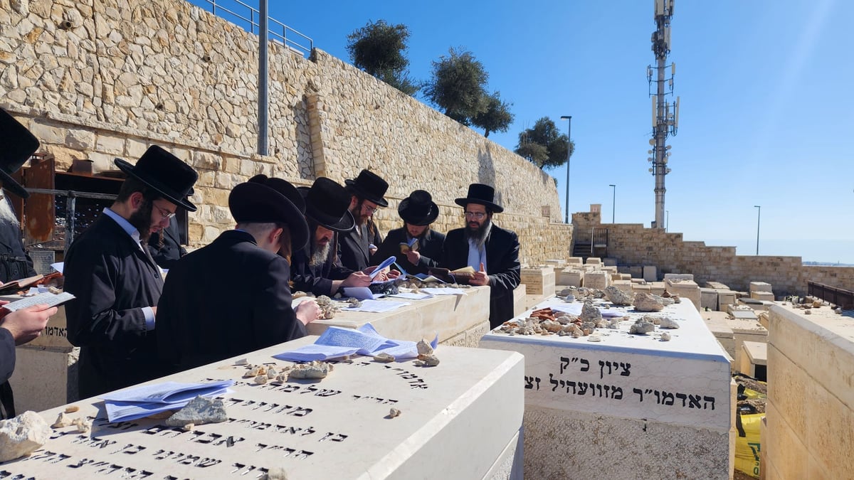 האדמו"ר מזוועהיל ארה"ב בביקור בישראל | תיעוד