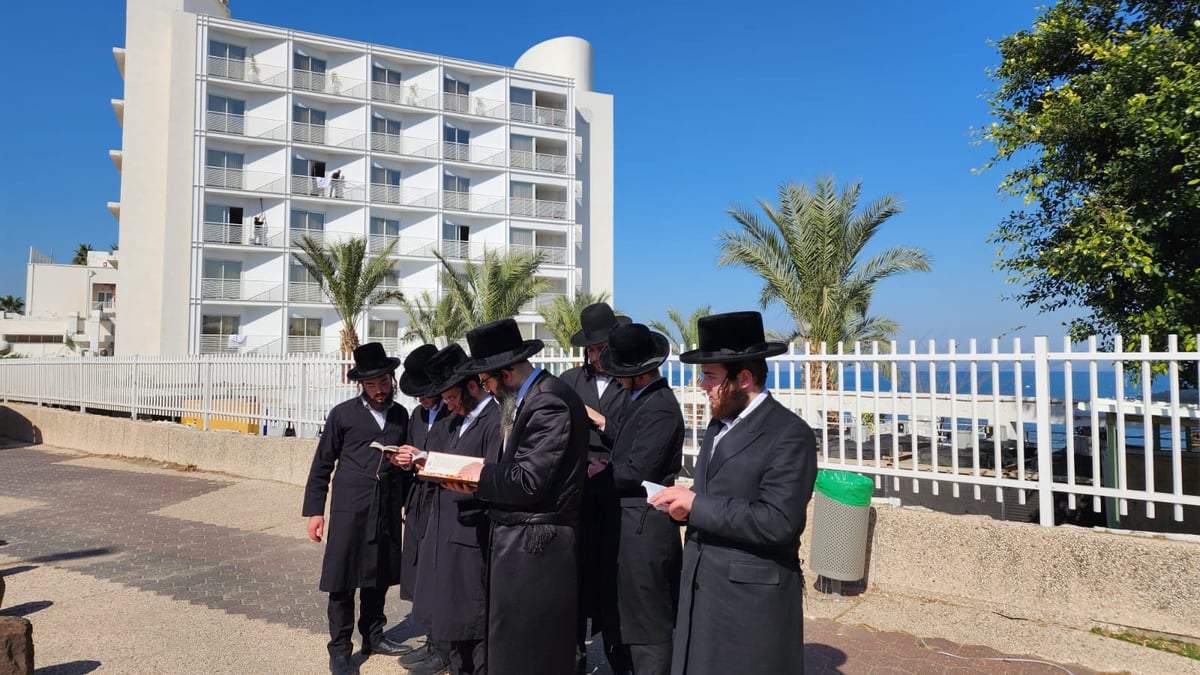 האדמו"ר מזוועהיל ארה"ב בביקור בישראל | תיעוד