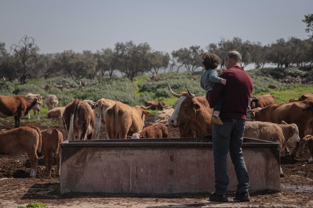 מעיין בית הקשתות | צפו בגלריה של חיים גולדברג