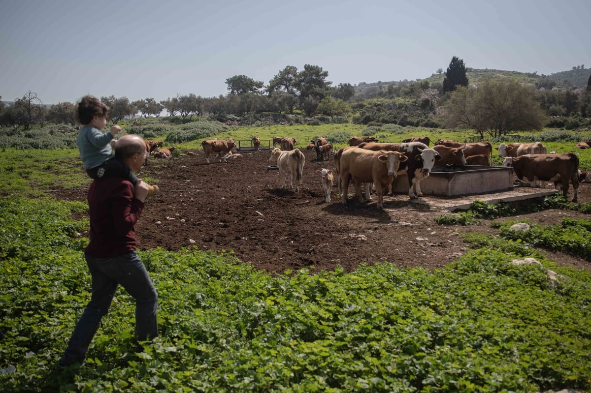 מעיין בית הקשתות | צפו בגלריה של חיים גולדברג