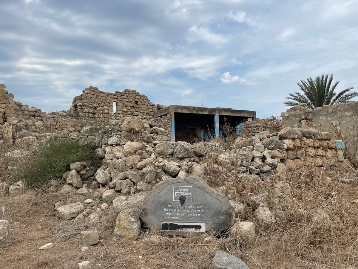 'רומי' בארץ ישראל? מורי הדרך שזחלו במעמקי מערותיה