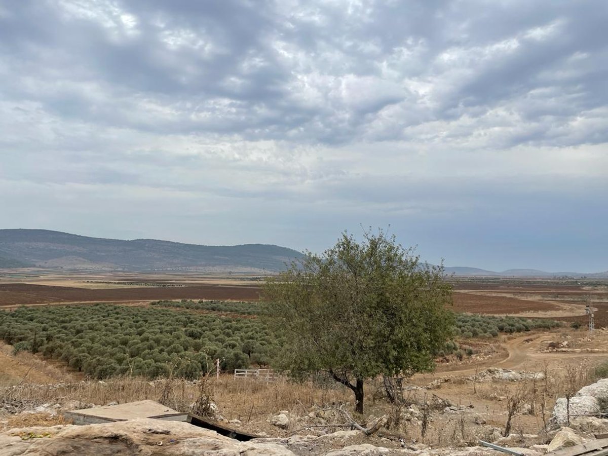 'רומי' בארץ ישראל? מורי הדרך שזחלו במעמקי מערותיה