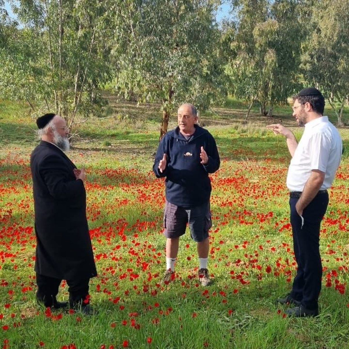 זופניק בכיכר • כל התמונות והנייעס של השבוע