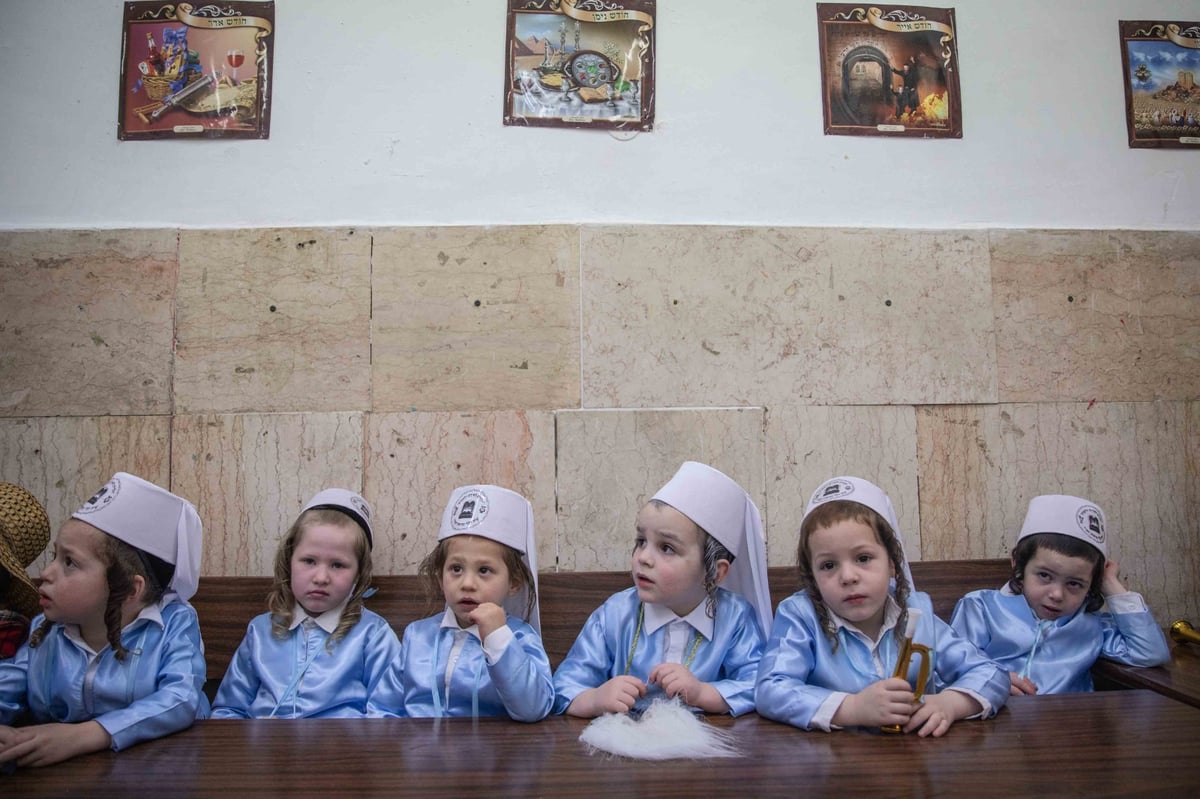 ילדי הת"ת בפינסק קרלין התחפשו ללווים במקדש | צפו