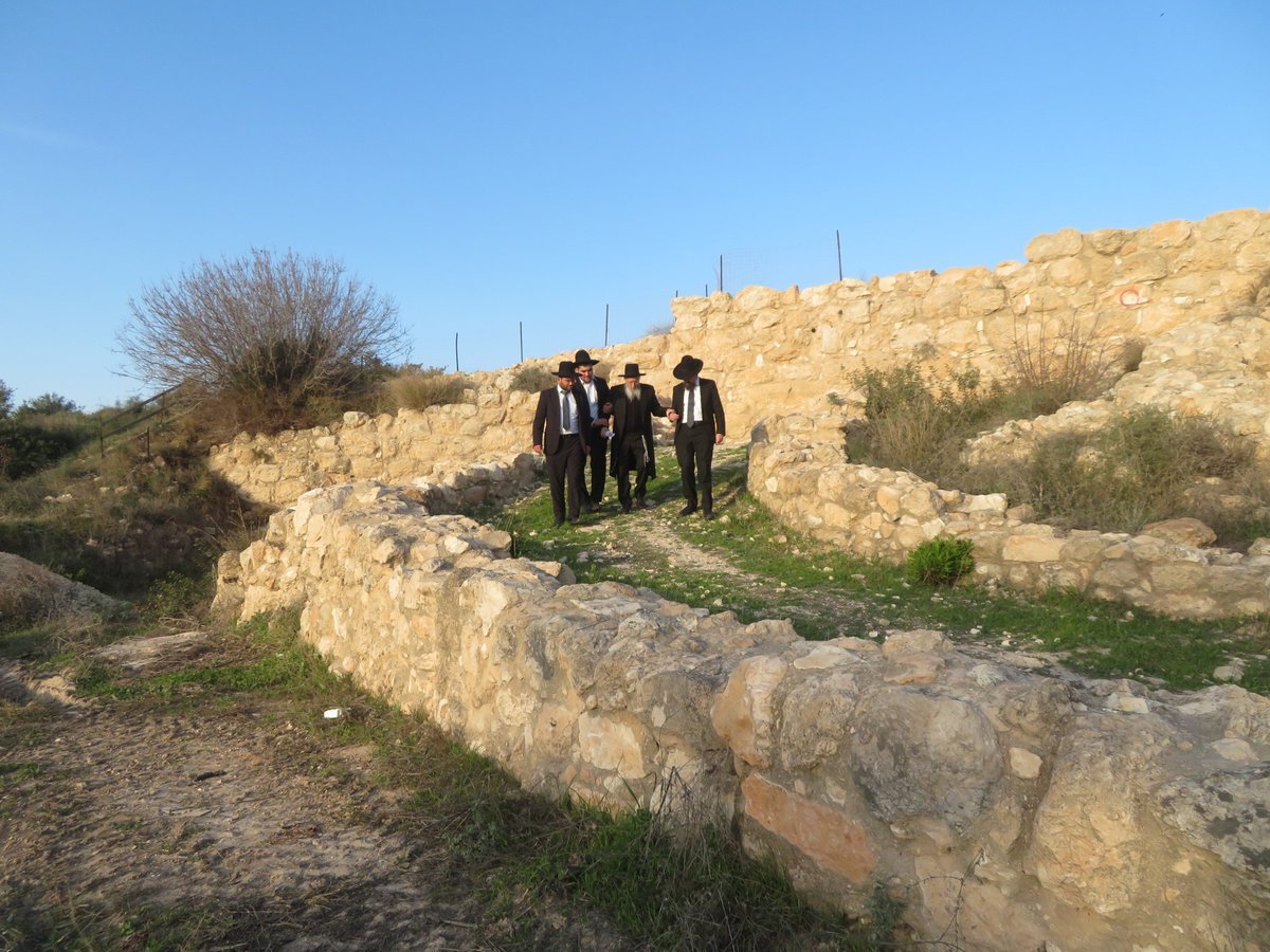 הגר"ש זעפרני פסק: זה זמן קריאת המגילה בבית שמש