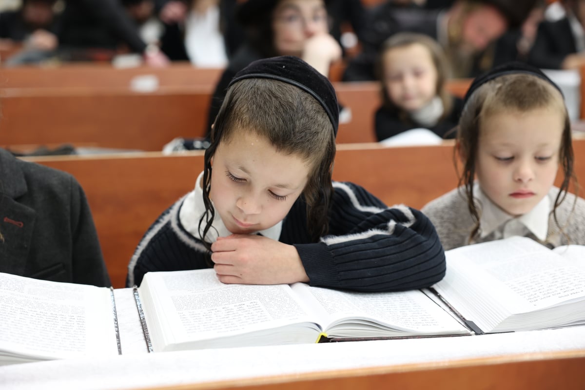 קריאת מגילה בחצר נדבורנה ביתר | תיעוד