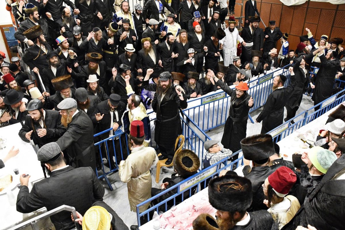 עריכת השולחן לכבוד פורים בחסידות זוועהיל | צפו