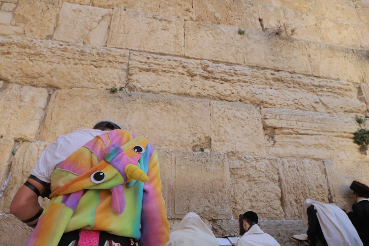 בוקר שושן פורים: אלפים והקצין שנפצע - בכותל המערבי • תיעוד