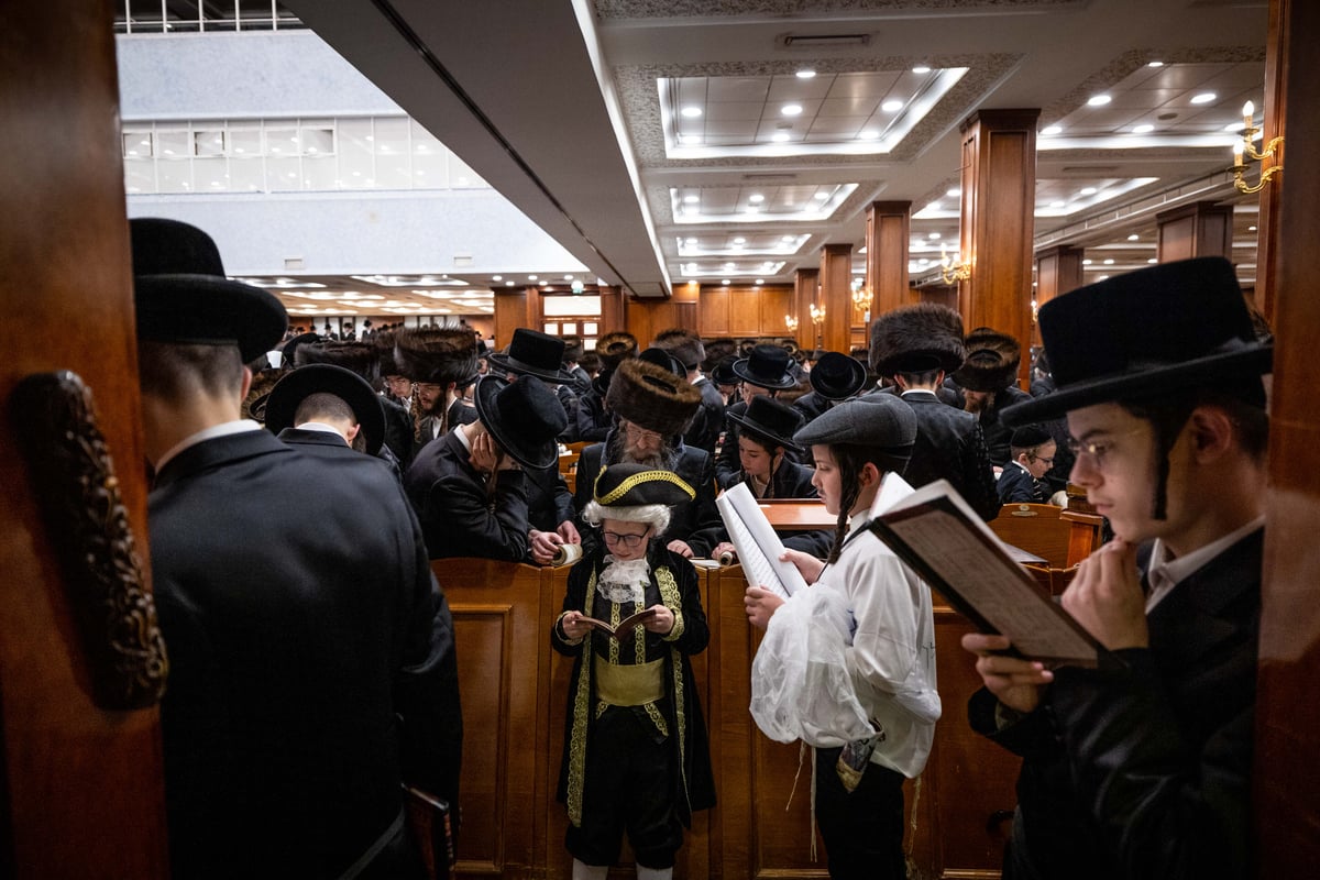 קריאת המגילה בביהמ"ד הגדול של בעלזא | תיעוד