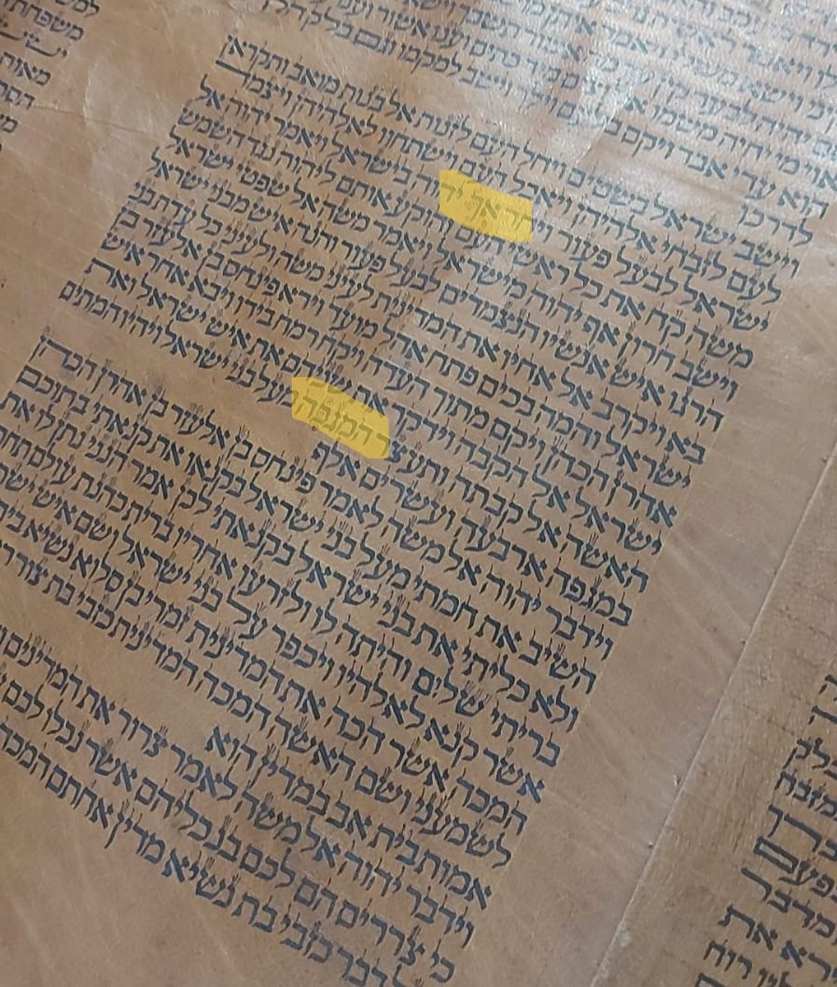 ספר התורה המיוחד עם האות 'פ' מלופף. סימנתי בעריכה בצהוב את המקום עם ה'פ' המיוחד