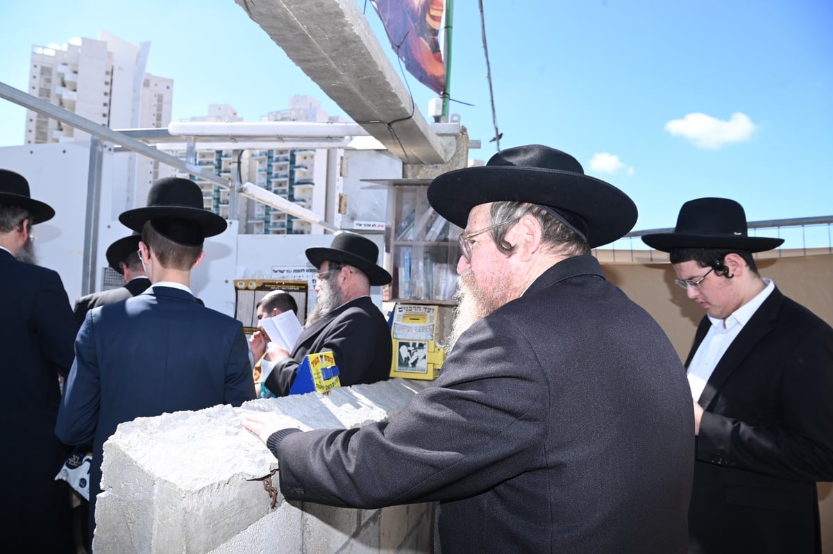 שנה ללא שר התורה זצ"ל: אלפים עלו לציונו | תיעוד