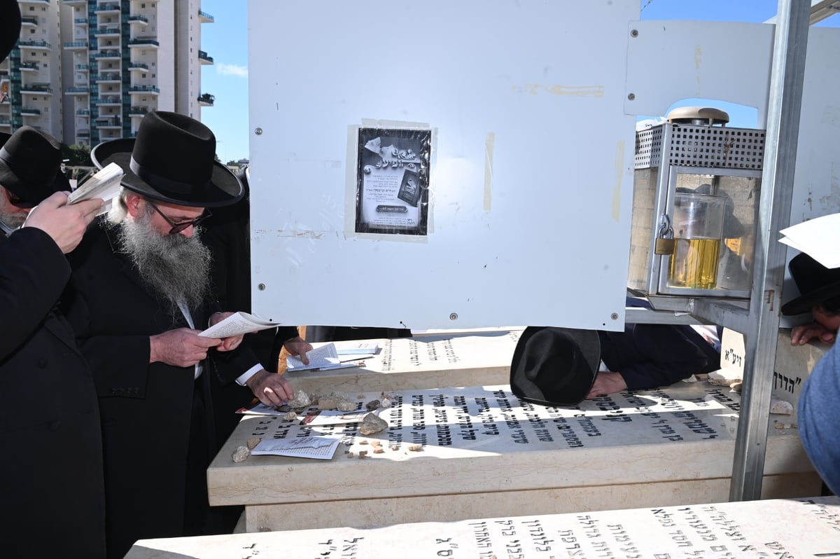 שנה ללא שר התורה זצ"ל: אלפים עלו לציונו | תיעוד