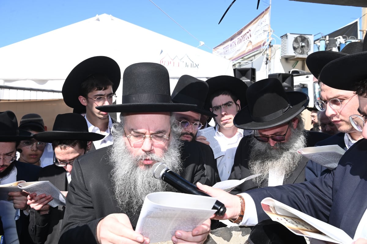 שנה ללא שר התורה זצ"ל: אלפים עלו לציונו | תיעוד