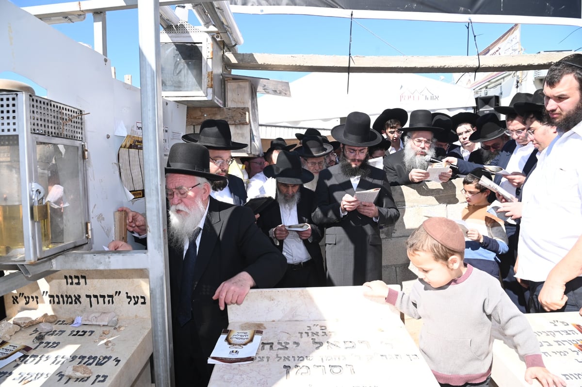 שנה ללא שר התורה זצ"ל: אלפים עלו לציונו | תיעוד