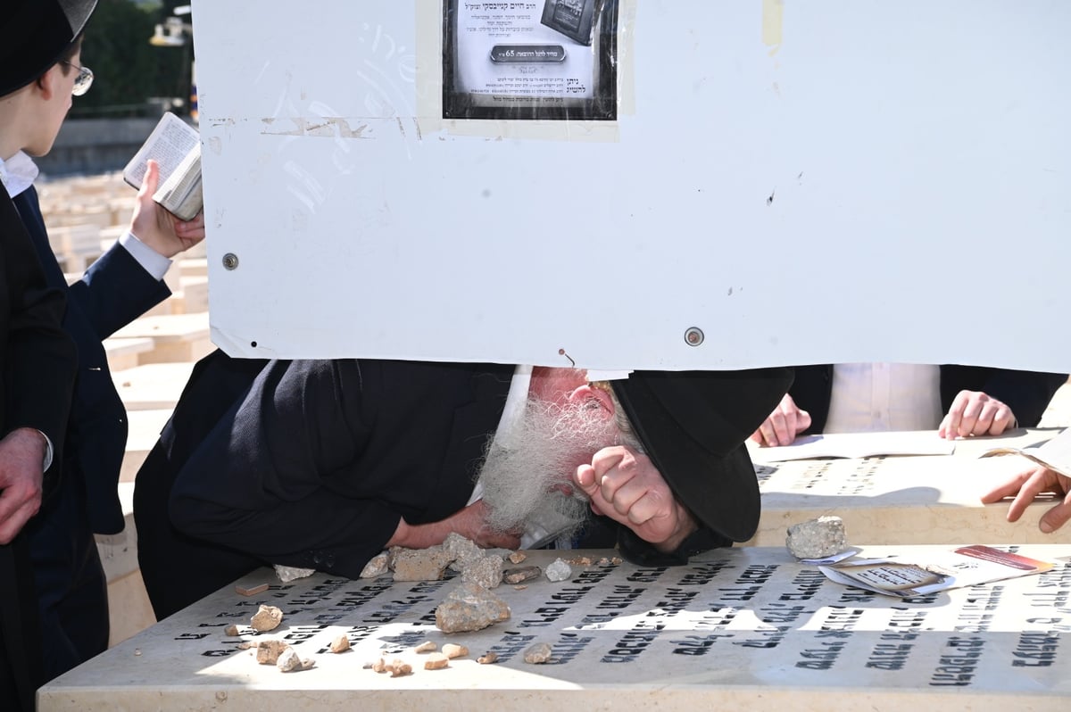 שנה ללא שר התורה זצ"ל: אלפים עלו לציונו | תיעוד