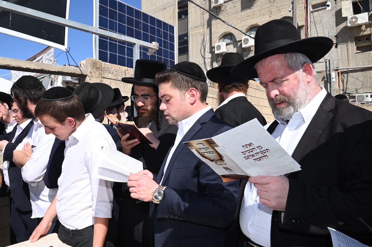 שנה ללא שר התורה זצ"ל: אלפים עלו לציונו | תיעוד