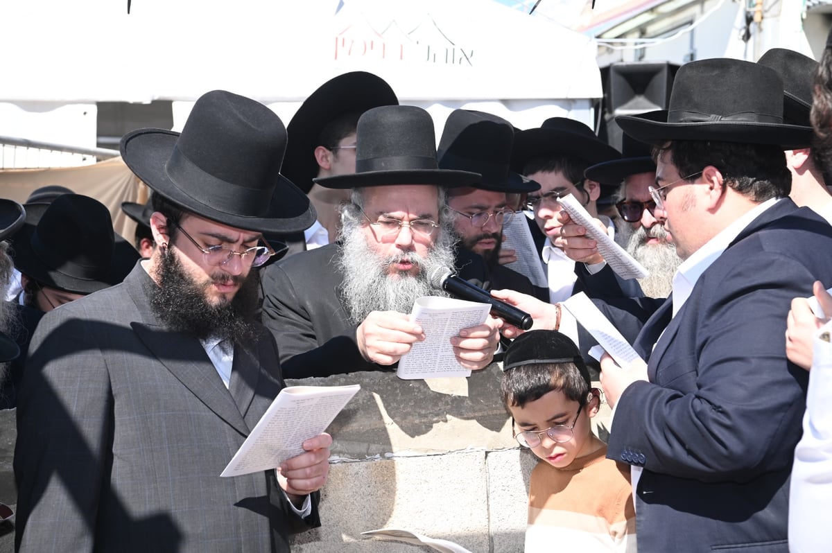 שנה ללא שר התורה זצ"ל: אלפים עלו לציונו | תיעוד