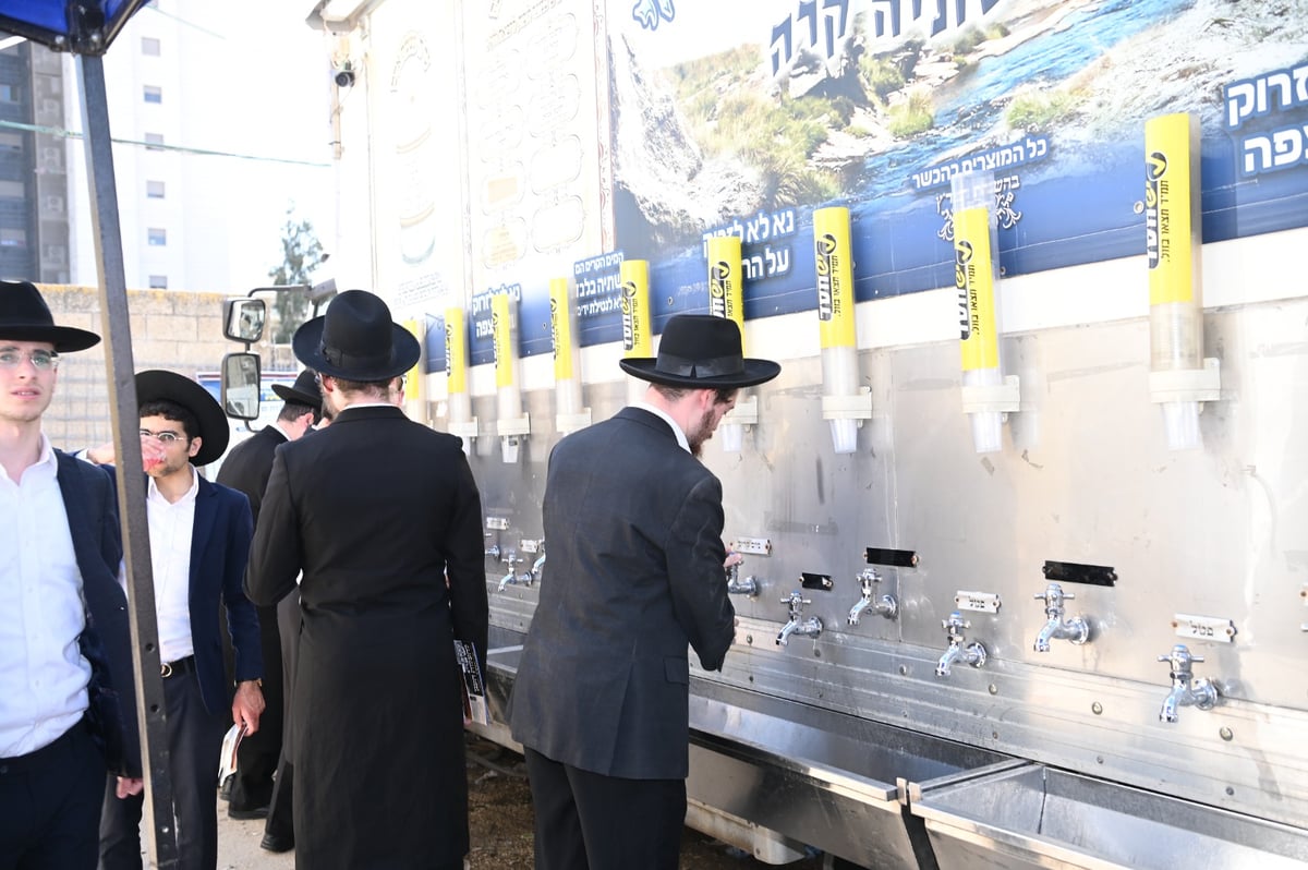 שנה ללא שר התורה זצ"ל: אלפים עלו לציונו | תיעוד