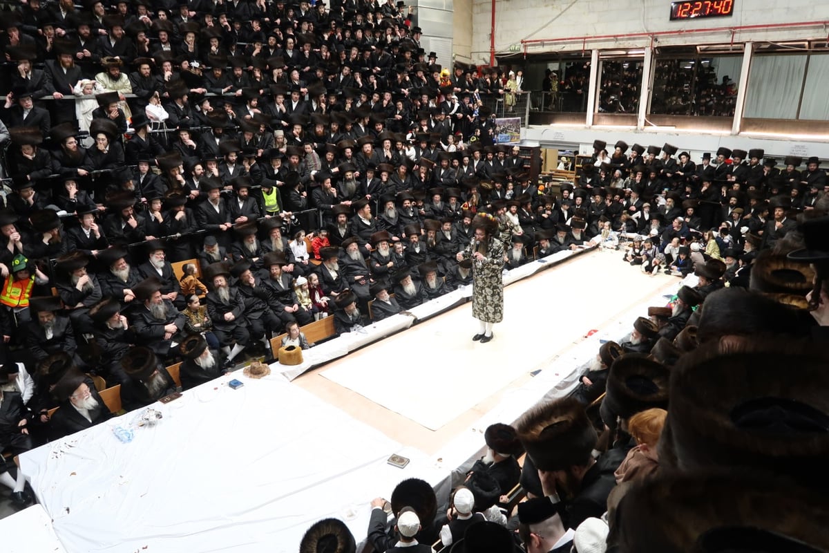 חג הפורים בחסידות סערט ויז'ניץ | תיעוד מסכם